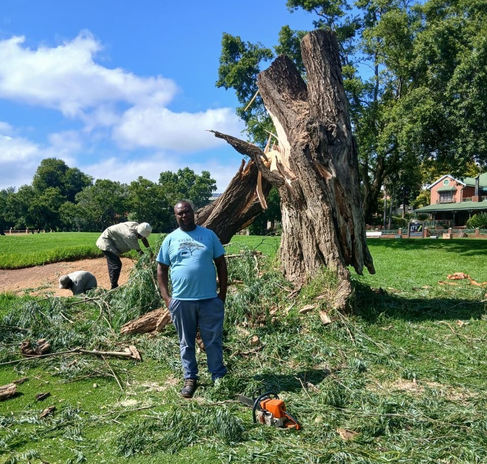 Tree felling and irrigation services